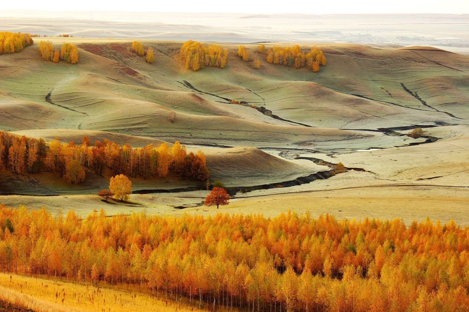 Таловская степь Оренбургской области
