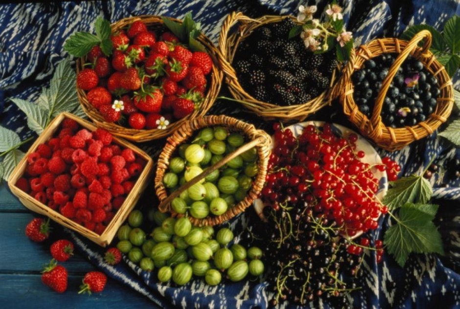 Спелые плоды и ягоды