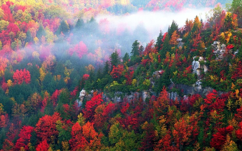 Разноцветная осень в горах