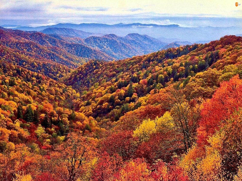 Штат Северная Каролина природа