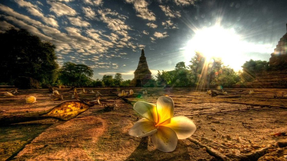 Таиланд солнце