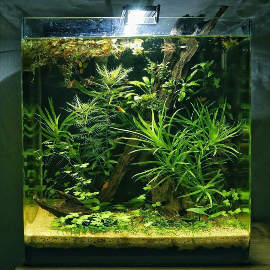 Нано аквариум 60л