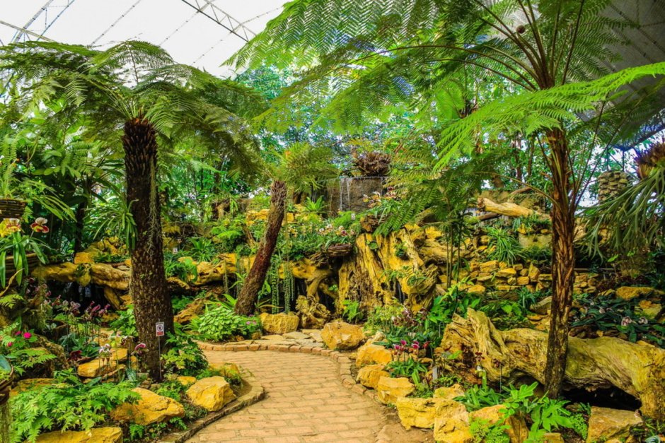Субтропический Ботанический сад Нагасаки