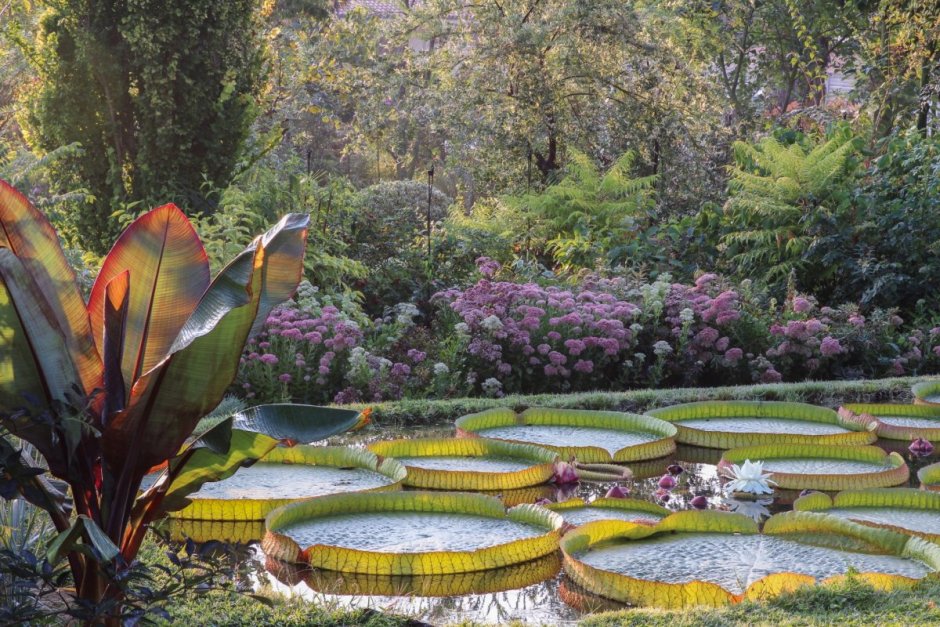 Ботанический сад Конакри