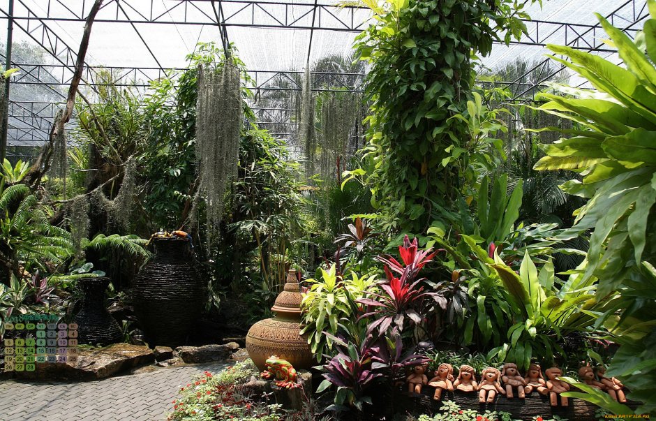 Тропические растения в Ботаническом саду
