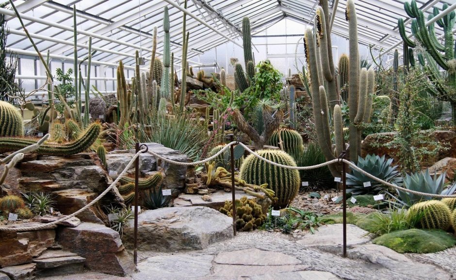 Ботанический сад суккулентов оранжерея
