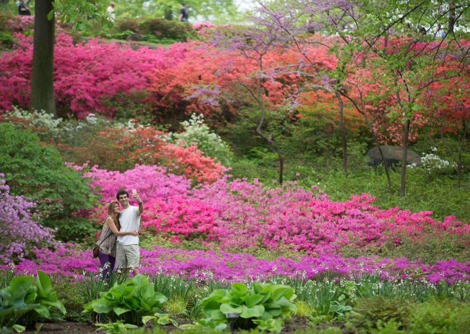 Нью-йоркский Ботанический сад Бронкс