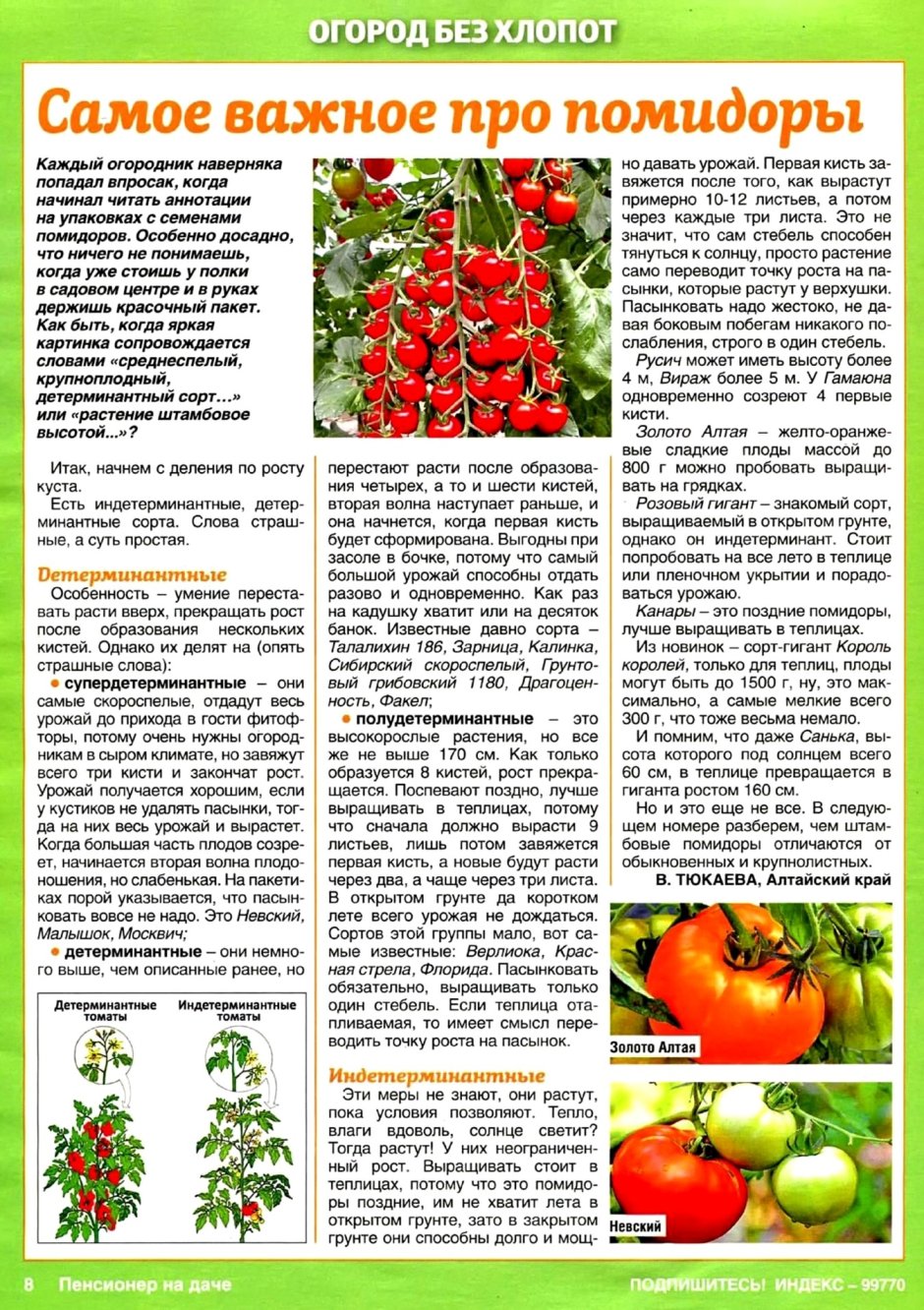 Семена томат огородный Колдун