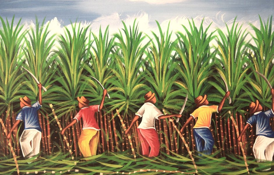 Куба сахарный тростник плантации