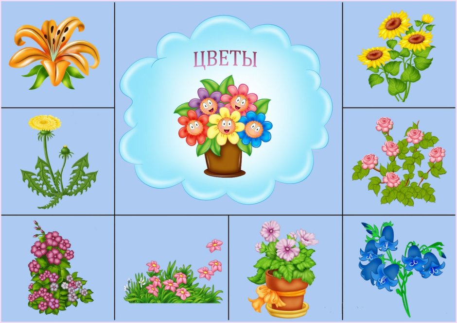 Карточки цветы для детского сада