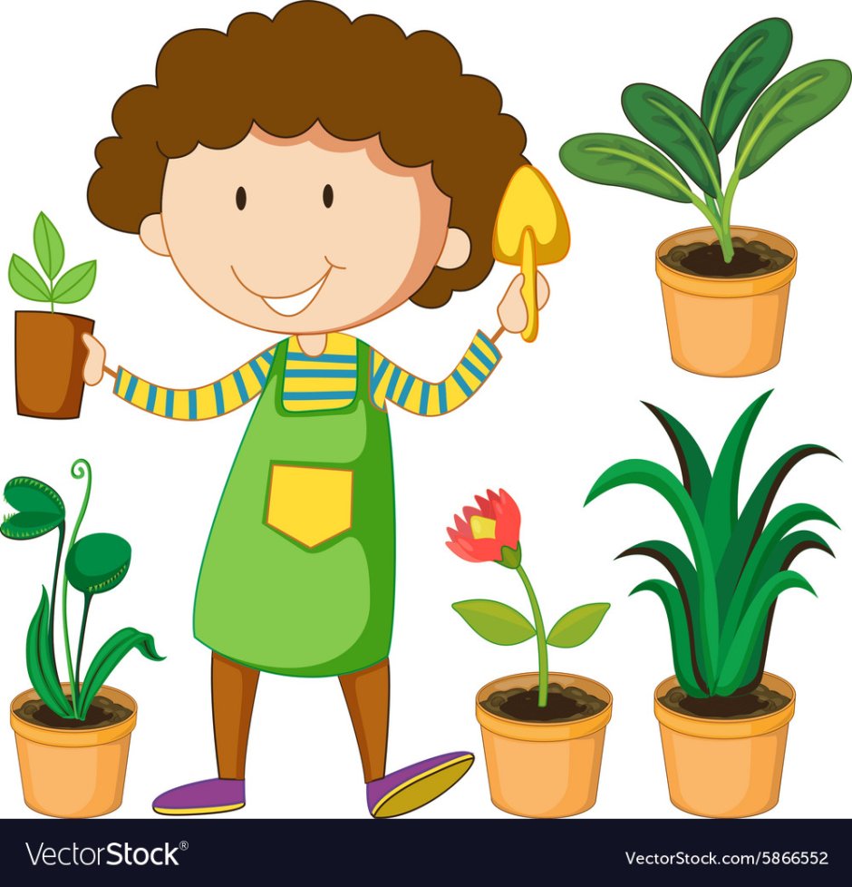 Растения садовника для детей