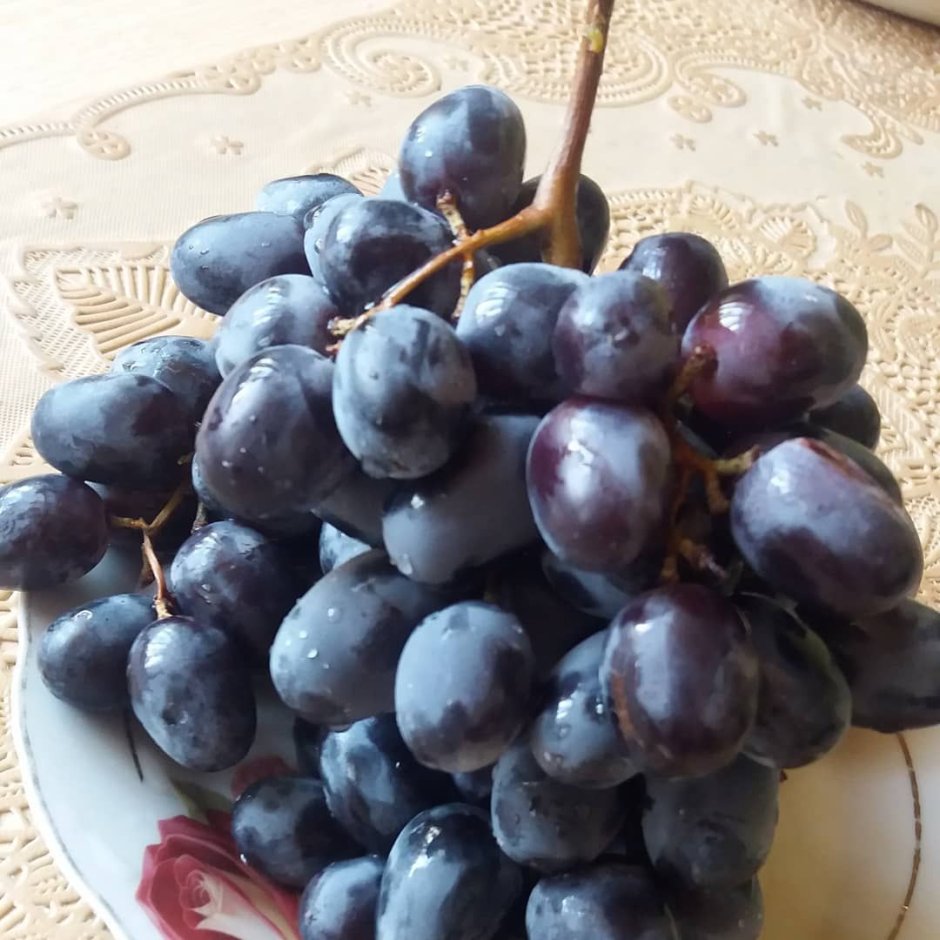 Сорт винограда чёрного в Узбекистане