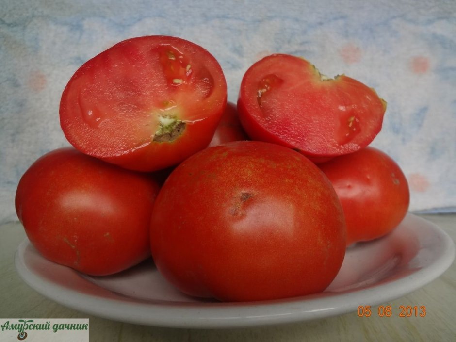 Семена томатов дебют f1