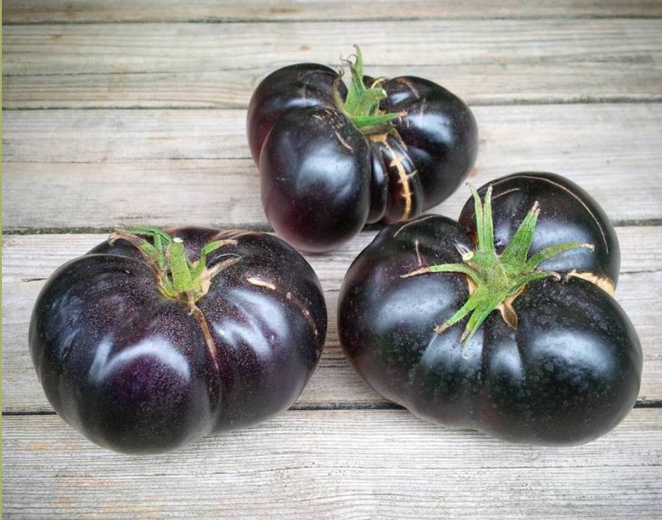 Черноплодные сорта томатов