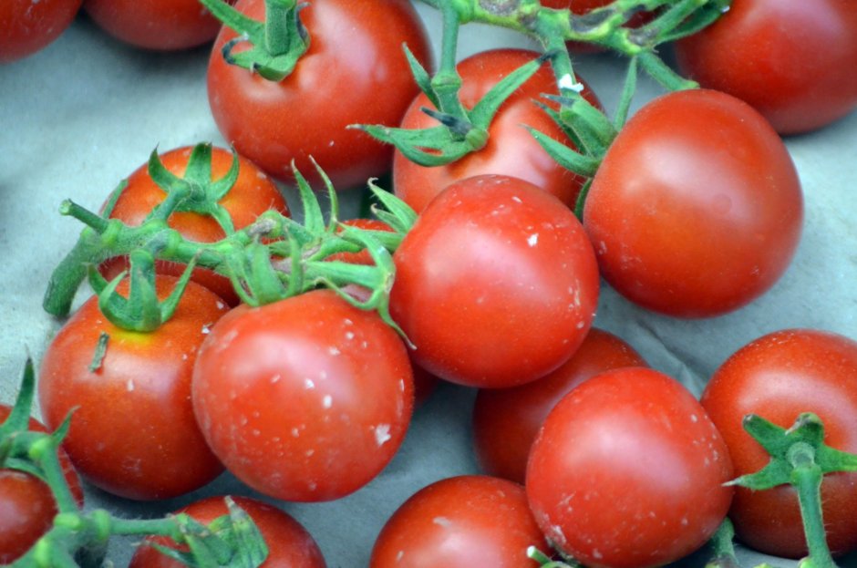 Семена томат супермодель