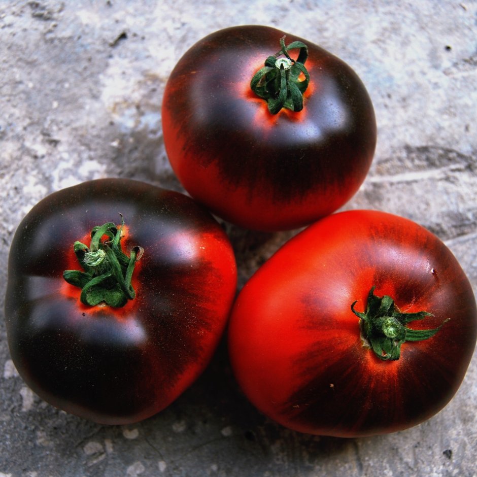 Низкорослые томаты раннего созревания