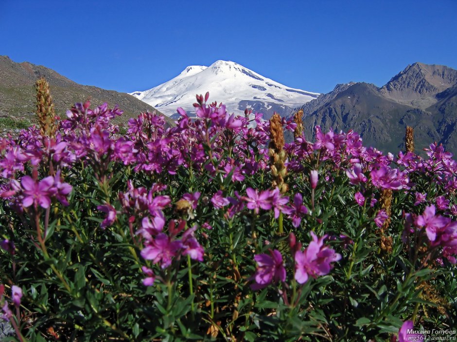 Альпийские Луга Армении