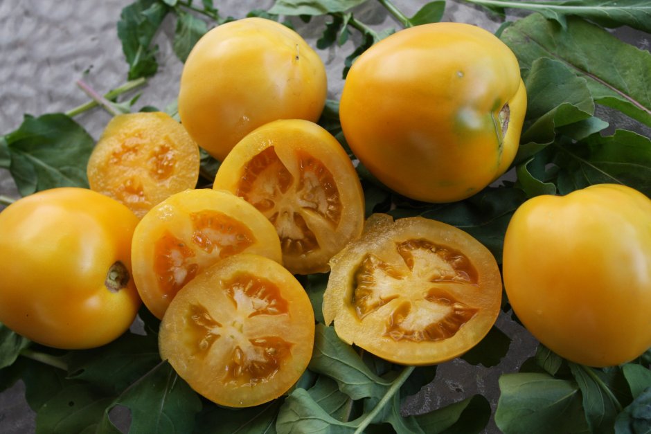 Семена Гавриш томат медовая капля 0,1 г