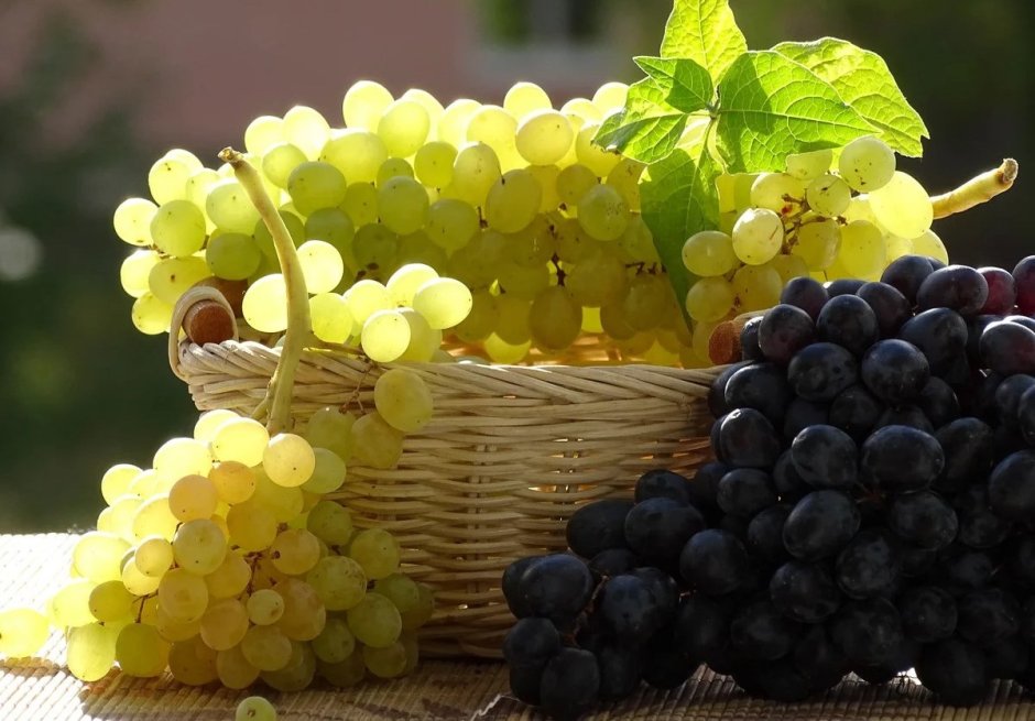 Виноград разный