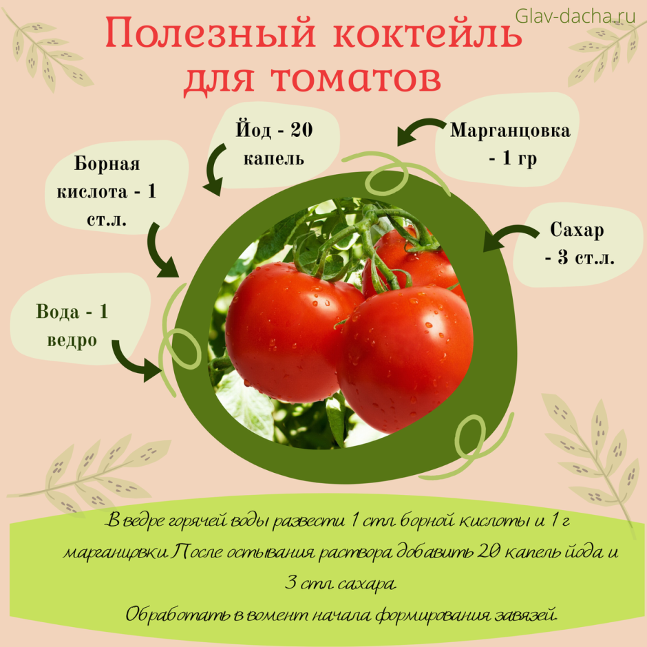 Схема удобрения томатов