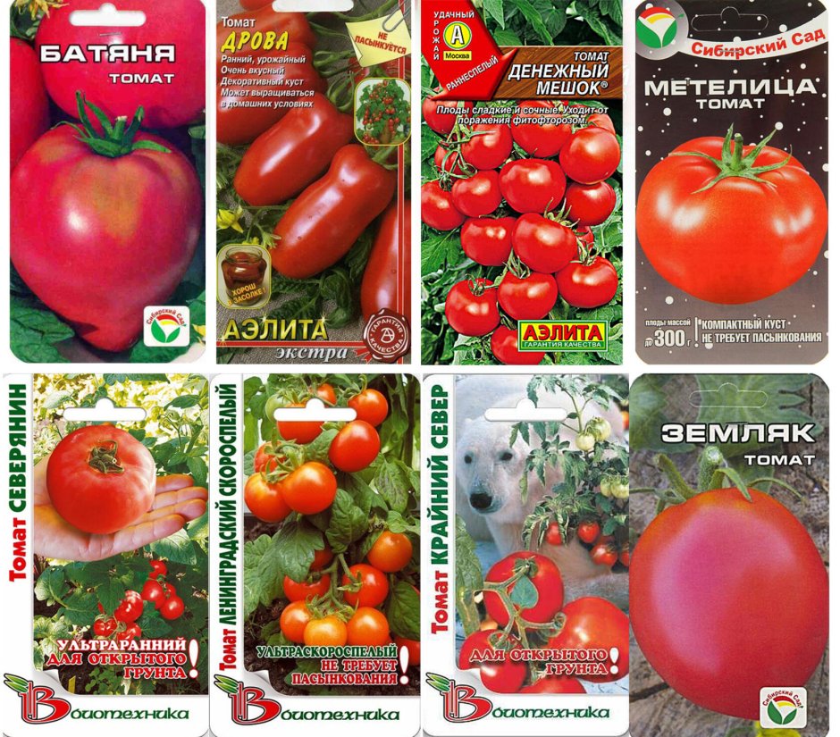Урожайные томаты f1