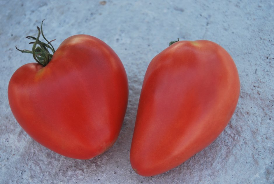 Семена томатов черри для теплиц