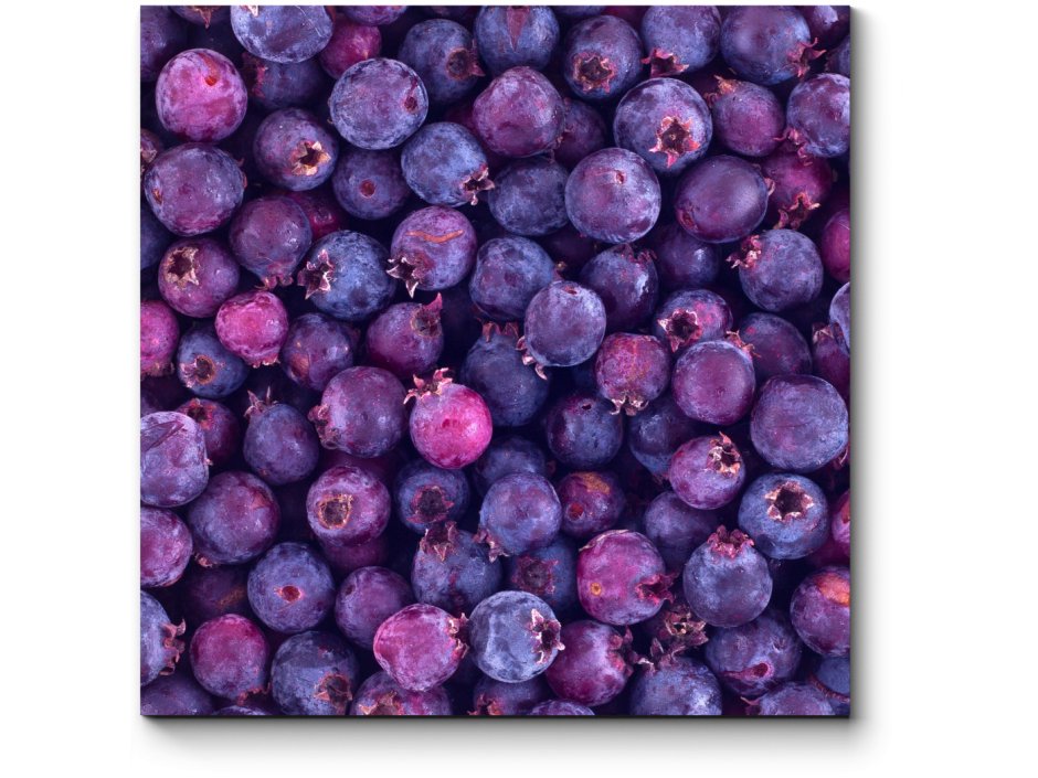 Фиолетовые ягоды