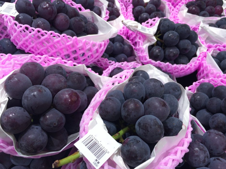 Фиолетовый фрукты виноград