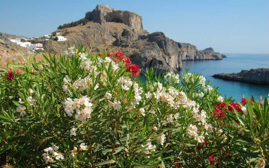 Флора острова Крит