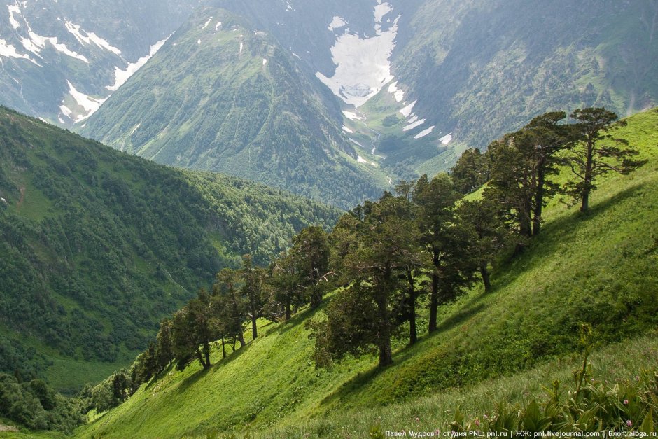 Западный Кавказ кавказские горы