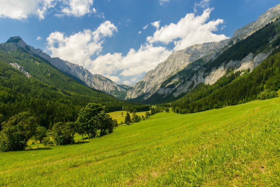 Альпийские Луга в горах Кавказа