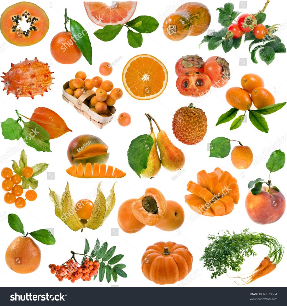 Овощи и фрукты оранжевого цвета для детей