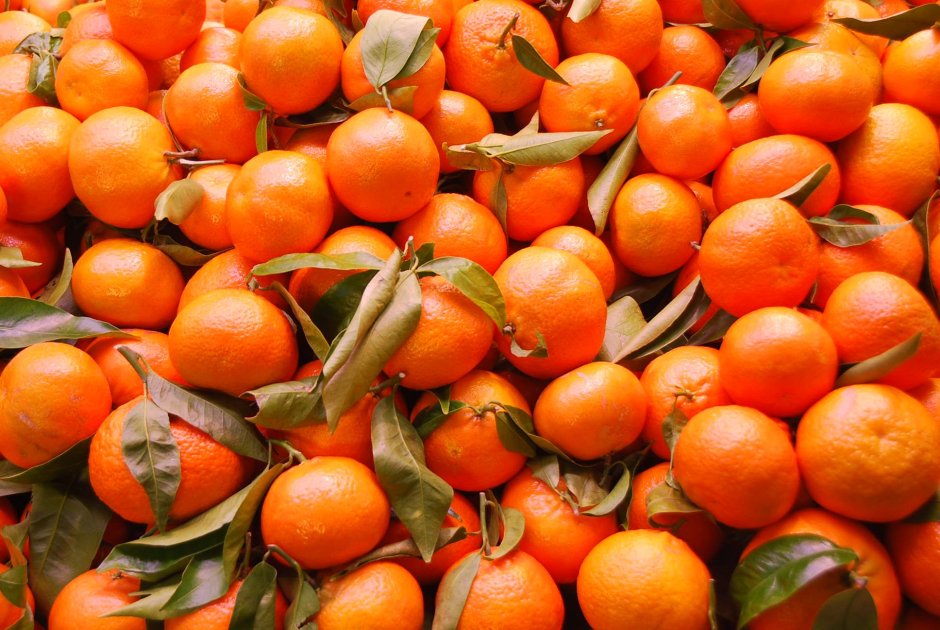 Ягоды оранжевого цвета