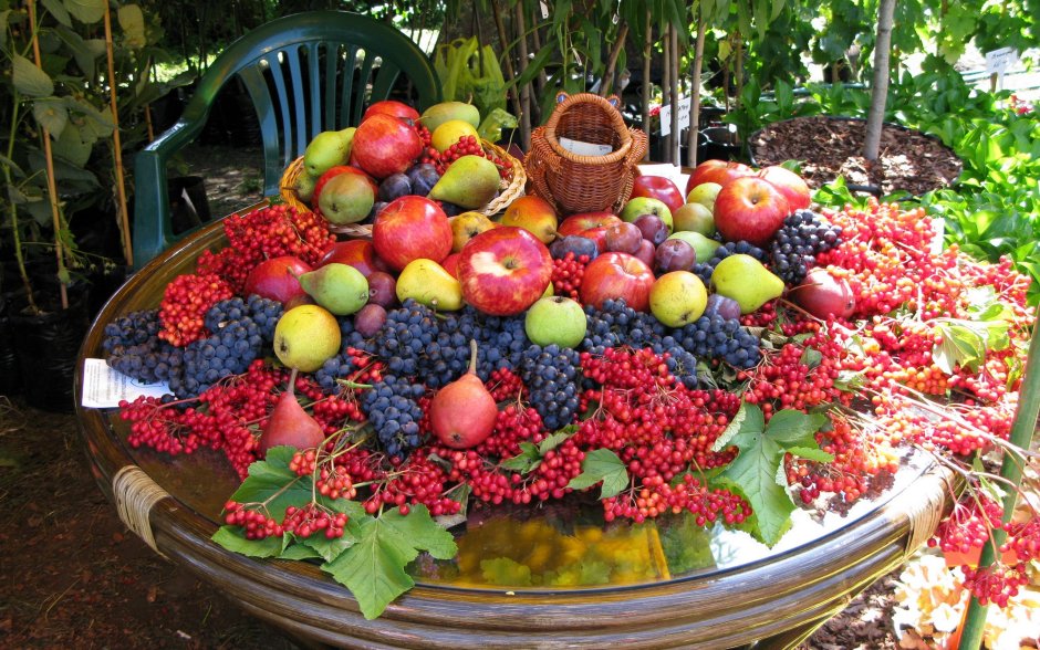 Сад с фруктами
