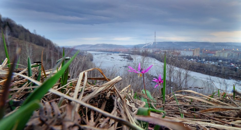 Весна в Кузбассе