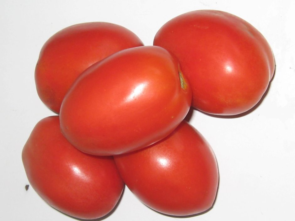 Лентяйка 20шт томат (Сиб сад)