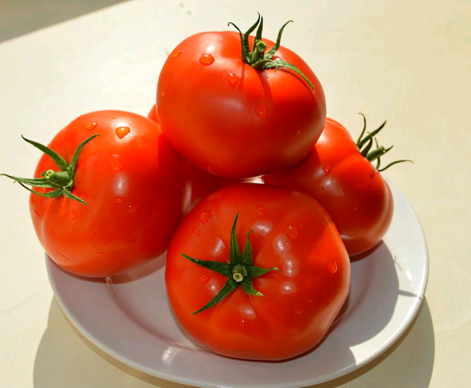 Сорт томатов Турандот