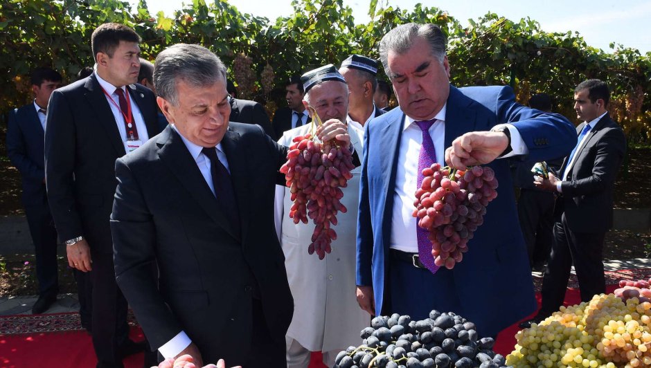 Виноградный сад президента Эмомали Рахмон