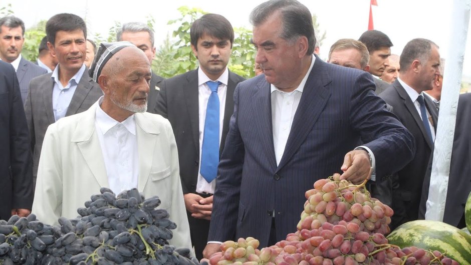 Виноград Таджикистан Регар