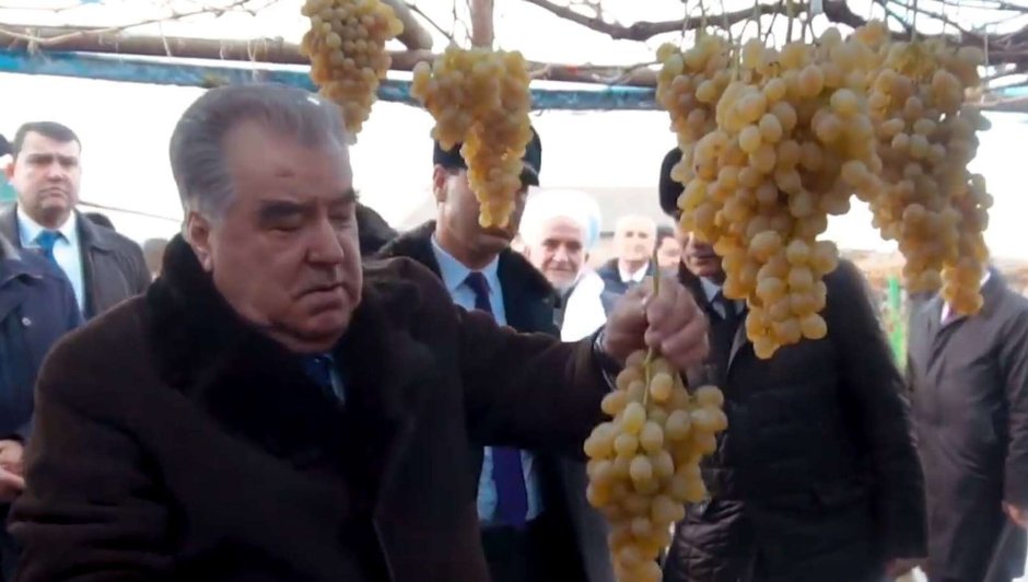 Президент Таджикистана с виноградом