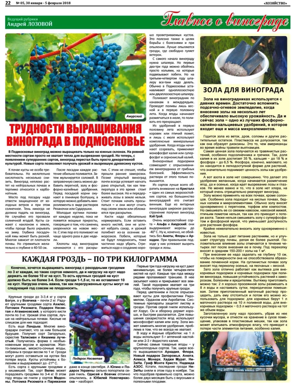 Выращивание винограда в Подмосковье книга