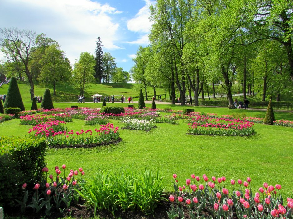 Нижний сад Петергофа