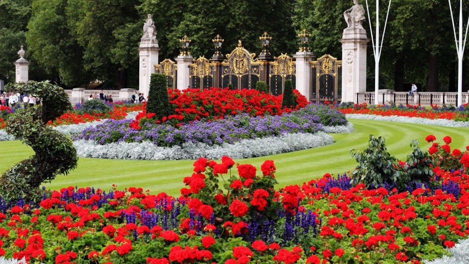 Королевский сад Букингемского дворца