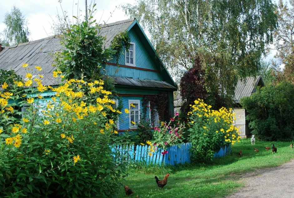 Деревня Вырица Ленинградская область