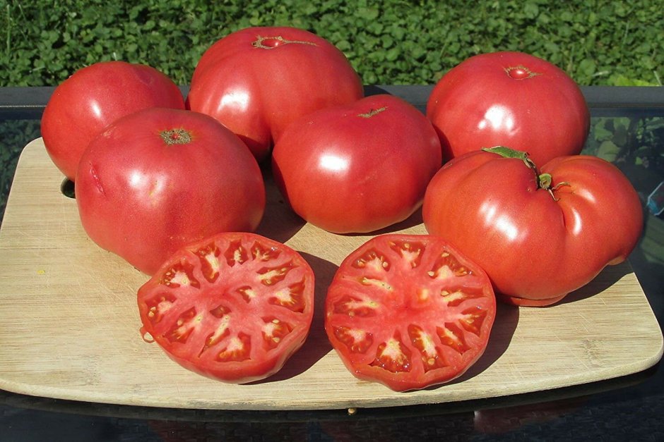 Сорт томата американский ребристый