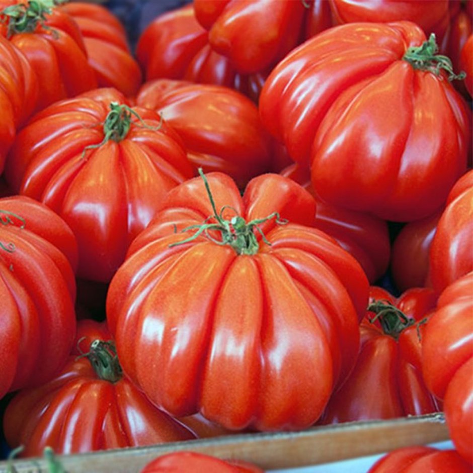 Арабский гигант томат