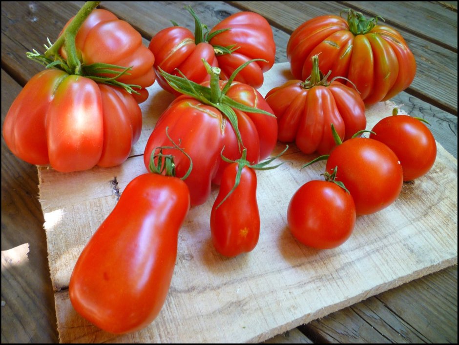 Ребристые черри томаты