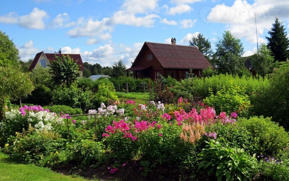 Красивый сад в деревне