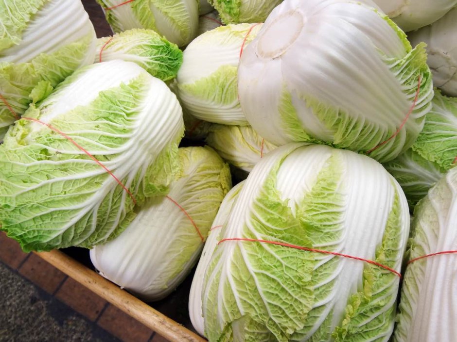 Cabbage пекинская капуста