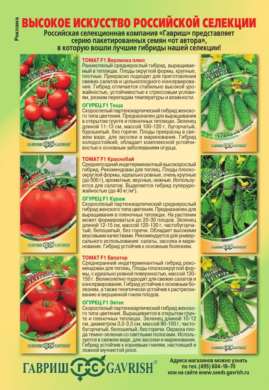 Томаты Кировской селекции для теплиц лучшие сорта томатов
